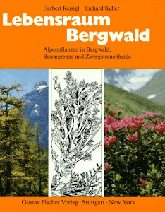 Lebensraum Bergwald: Alpenpflanzen in Bergwald, Baumgrenze und Zwergstrauchheide. Vegetationsökologische Informationen für Studien, Exkursionen und Wanderungen