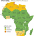 Âge médian dans les pays d'Afrique.