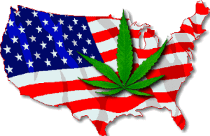 pesquisas sobre maconha legalização da maconha
