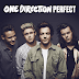 Lirik Lagu Perfect - One Direction Dan Terjemahannya