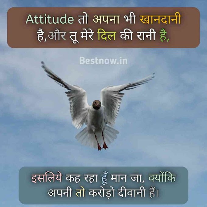 Attitude तो अपना भी खानदानी है,और तू मेरे दिल की रानी है| Attitude shayari hindi