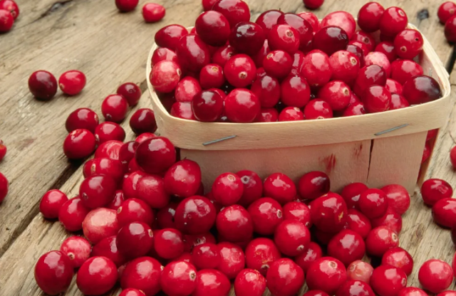 Cranberries Health Benefits
