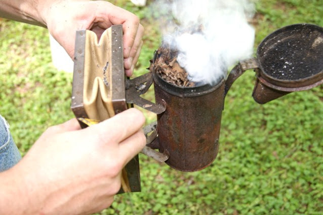 Prepping Smoker to Smoke a Bee Hive Image