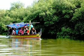 Wisata Mangrove Surabaya, Mangrove Wonorejo Surabaya, Wisata Alam Surabaya