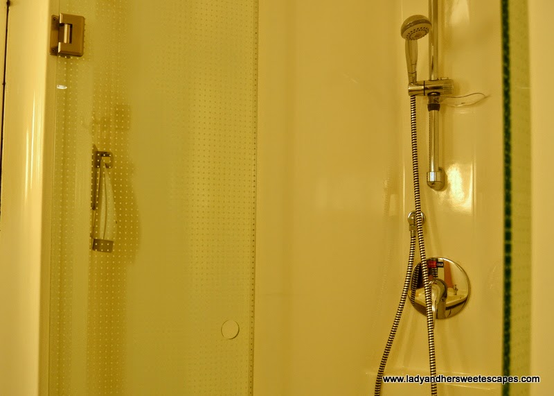 Hotel Ibis Delhi Airport's extra compact bathroom