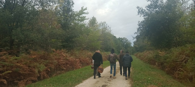 Fungi foragers, Indre et Loire, France. Photo by Loire Valley Time Travel.