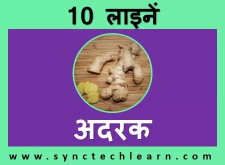 short nibandh on ginger in hindi