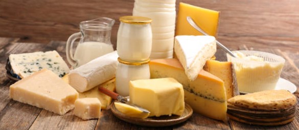 What is Dairy? And Explain Some Common Dairy Products