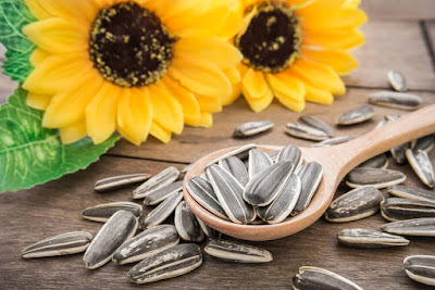 Manfaat biji bunga matahari untuk kesehatan