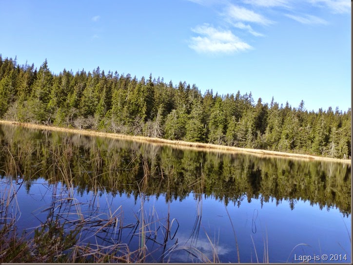 Marifjell 048