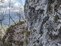 Trail 613 - Corna di Colognola