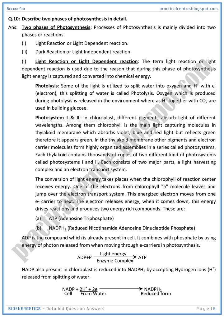 bioenergetics-detailed-question-answers-biology-9th-notes