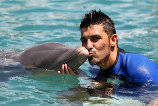 David Villa