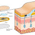 Sweat Detectors? Tiny Sensors Use Perspiration to Track Health