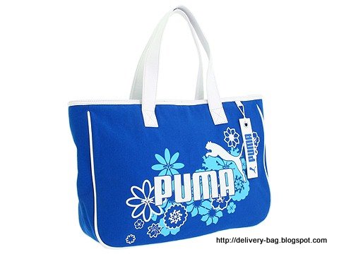 Delivery bag:bag-1338968