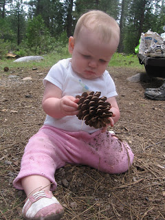 Audrey explores a pine cone