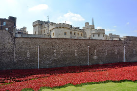 The Tower of London poppies