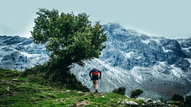 "Artemisio Mountain Running 2025"