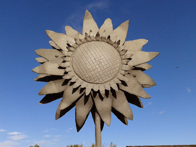 Yeo Valley Organic Gardens // 76sunflowers