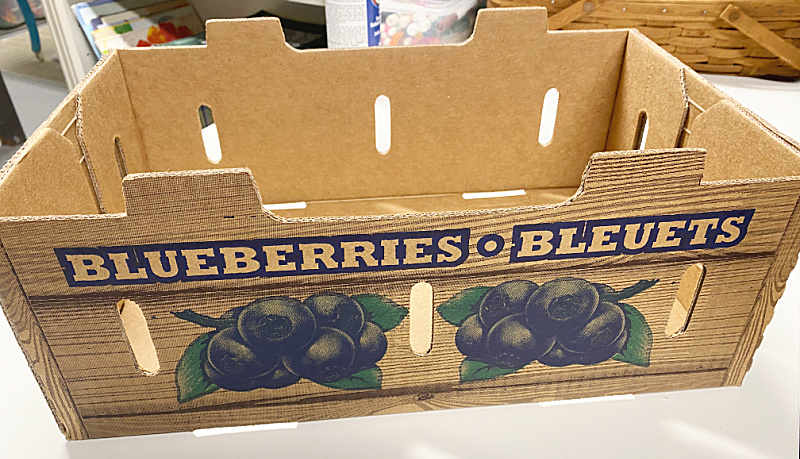 cardboard blueberry crate