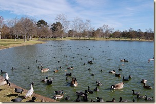 January 2008 263