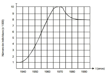 Gráfico