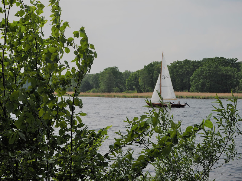 Planes en Berlín Wannsee