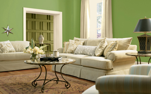 2011 Paint Colors For Living Room