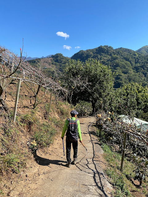 麻竹坑頭山下山