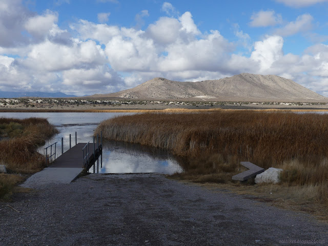 25: dock and bench