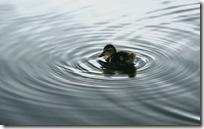 widescreen wallpapers (10)