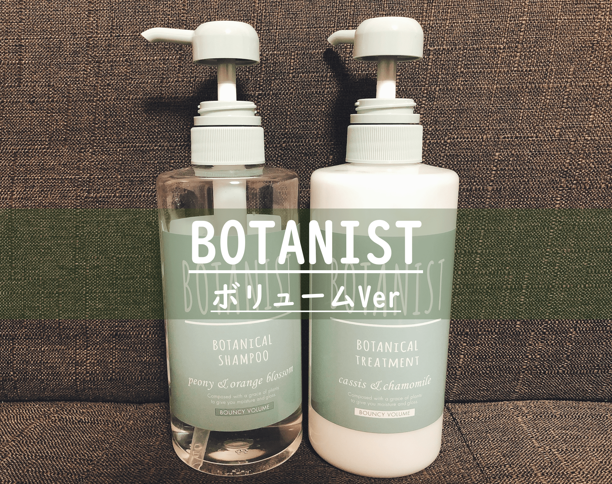 Botanist ボタニスト はメンズにもおすすめ シャンプー トリートメントの種類比較と実際に使ってみた感想と口コミ おすすめ商品3選 片手間ブログ Botanist ボタニスト はメンズにもおすすめ シャンプー トリートメントの種類比較と実際に使ってみた感想と口コミ おすすめ商品3選 片手間ブログ