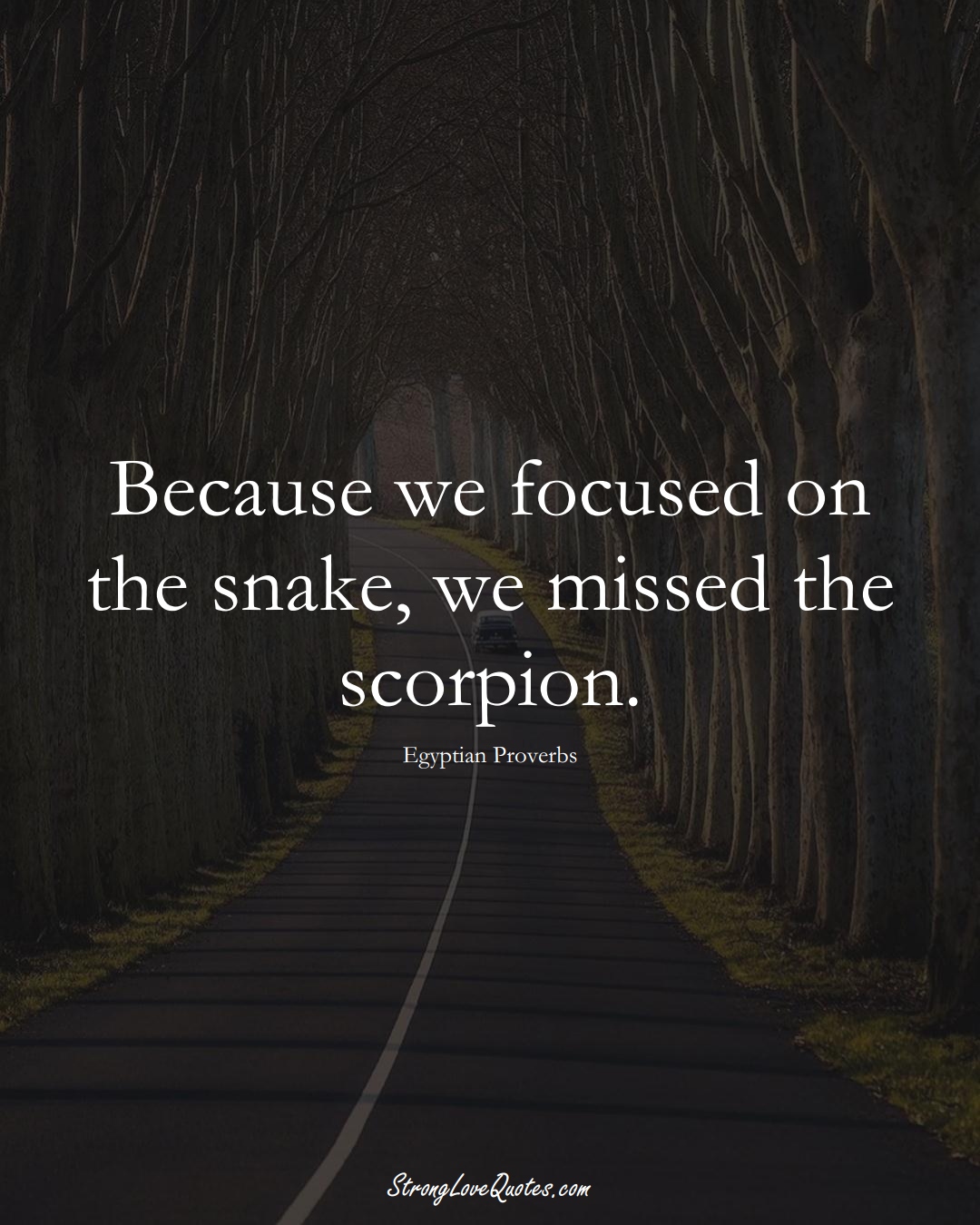 Because we focused on the snake, we missed the scorpion. (Egyptian Sayings);  #MiddleEasternSayings