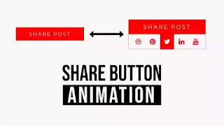 css button hover