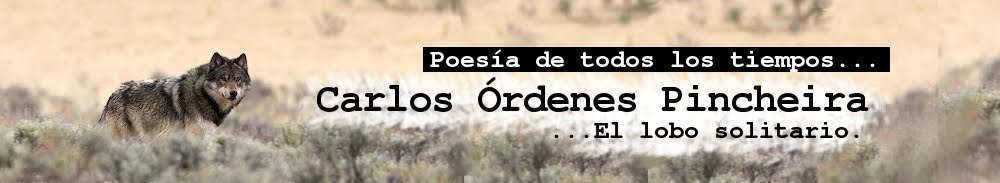 Poesía de Todos los Tiempos