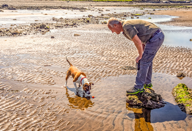 Photo of Phil had to push Ruby's ball closer to her when she refused to get wet