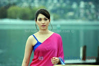 Tamanna, latest, hot, navel, show, wallpapers