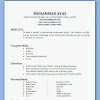 Cv Format In Ms Word Download Bangladesh - Resume Template With Ms Word File Free Download By Designphantom On Deviantart / Standard cv format bangladesh professional resumes sample online ….