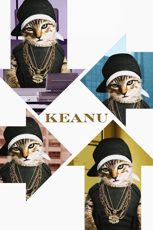 Descargar Keanu 2016 Blu Ray Latino Online