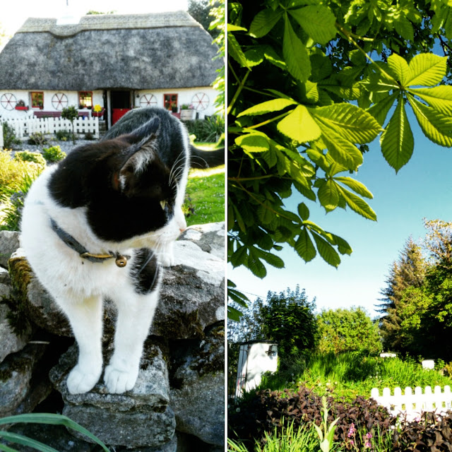 Fairybridge cottage © Annie Japaud Photography