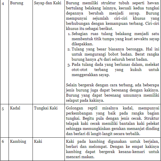  Organ  Gerak Beberapa Hewan  Bertulang Belakang Beserta 