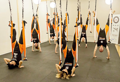 aeroyoga, aerial yoga, air yoga, teacher training, aerial yoga teacher training, fly, flying, gravity, hammock, trapeze, swing, health, wellness