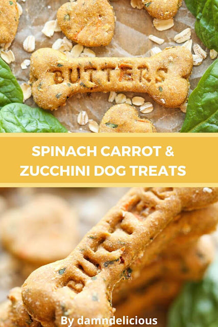 Spinach Carrot And Zucchini Dog Treats