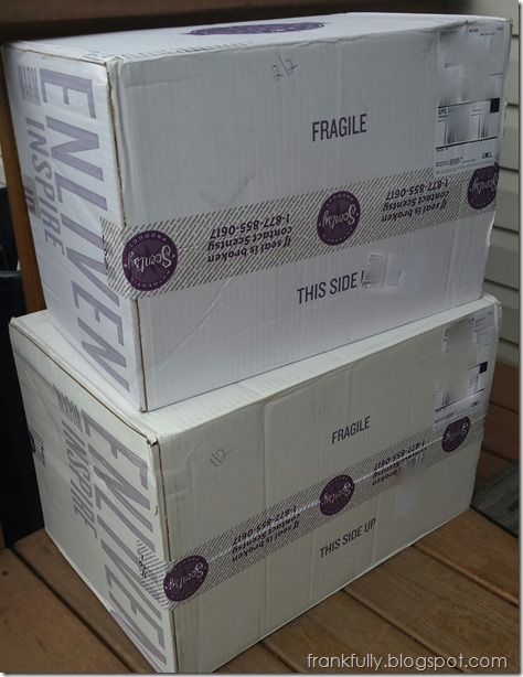 Scentsy_packages