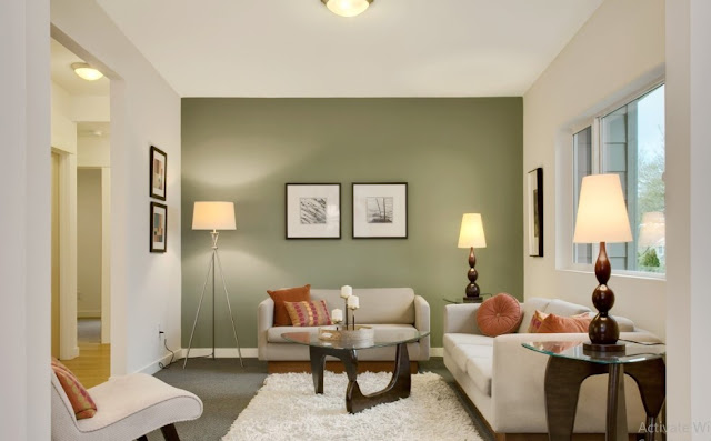 Sage Green Living room Design Ideas