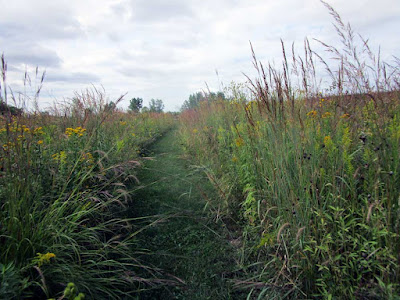 Trail at Waldos Rock