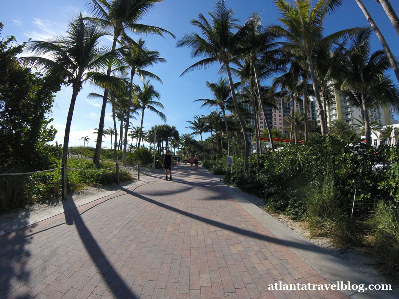 Miami Beach by bike
