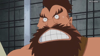 ワンピースアニメ トンタッタ海賊団 バクスコン BAXCON 小人族 ONE PIECE Tontatta Pirates