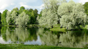 landscape park in Gatchina Пейзажный парк в Гатчине Блог Вся палитра впечатлений Palette of impression blog