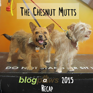 The Chesnut Mutts BlogPaws 2015 Recap